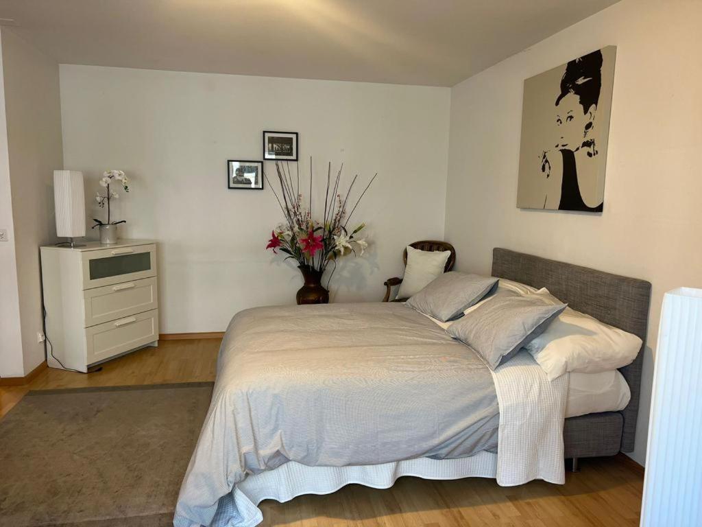 Appartement Schweiz Bâle